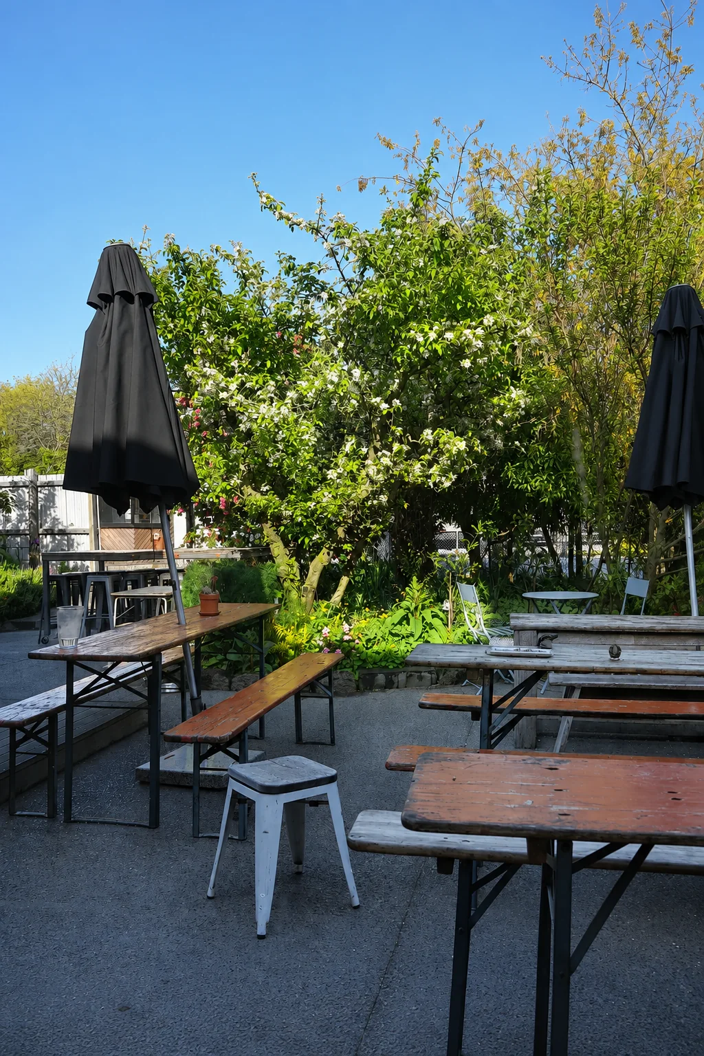 Leafy trees and outdoor tables in the Good Habit garden